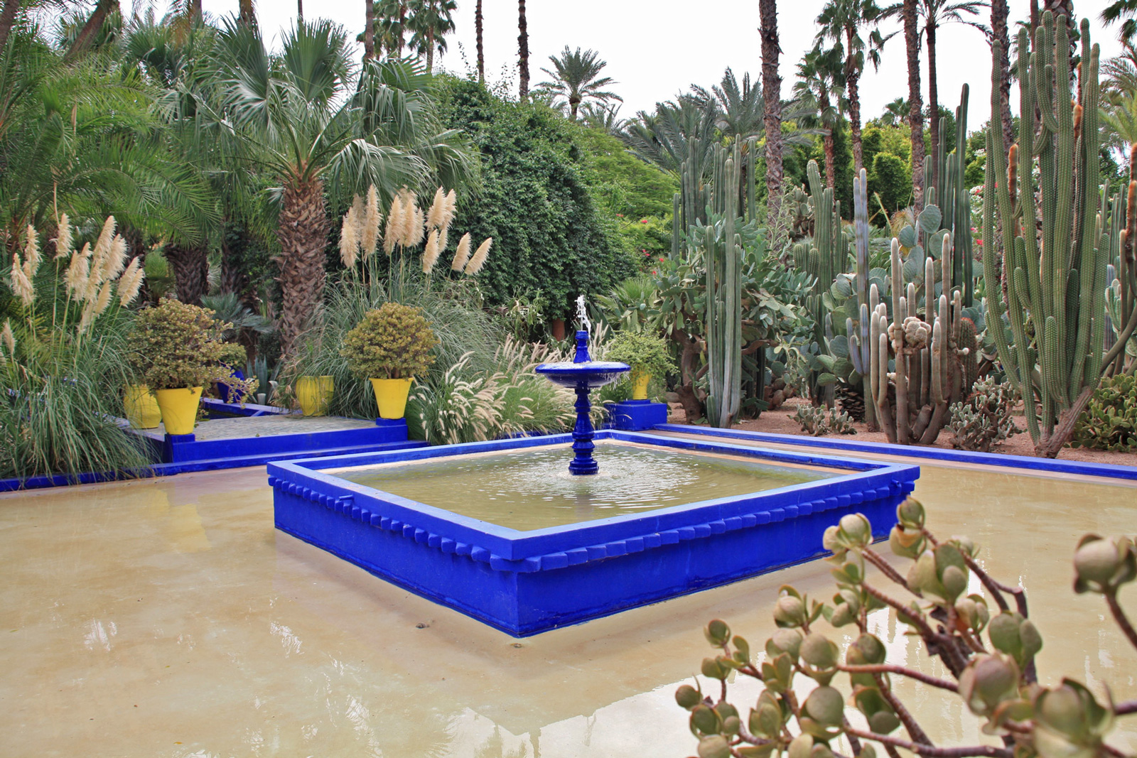 jardin majorelle marrakesch