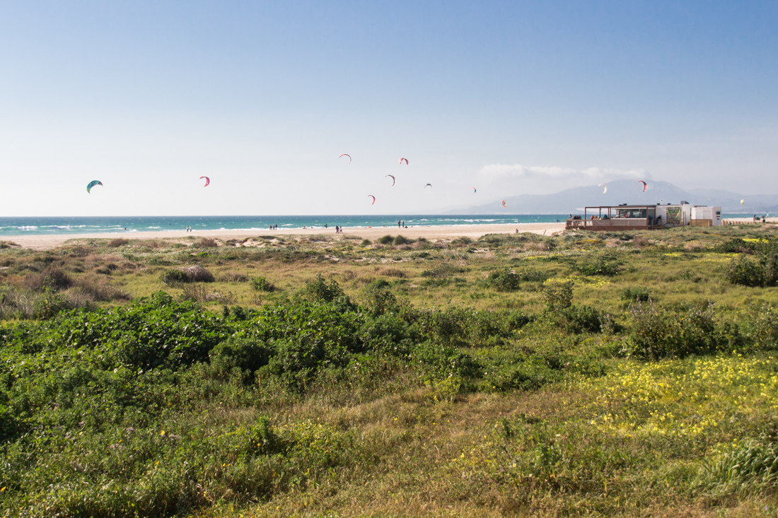 tarifa-beachbar-kites